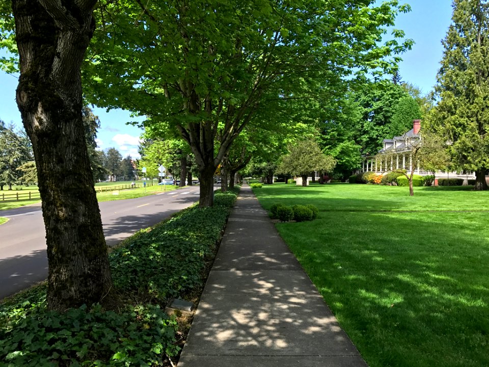 Officers Row at Fort Vancouver