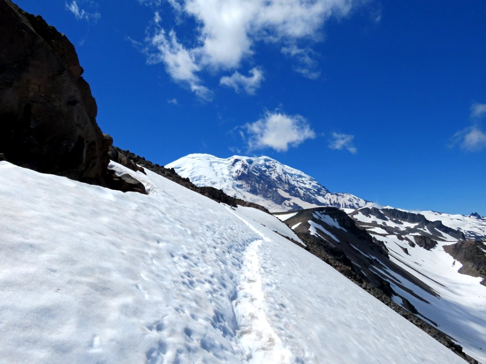 Mt. Rainier NP in Washington