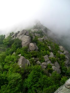 Old Rag boulders, fog