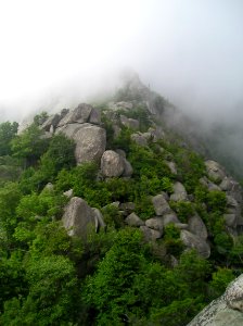 Old Rag boulders, fog photo