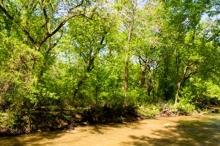 Rock Creek in spring photo