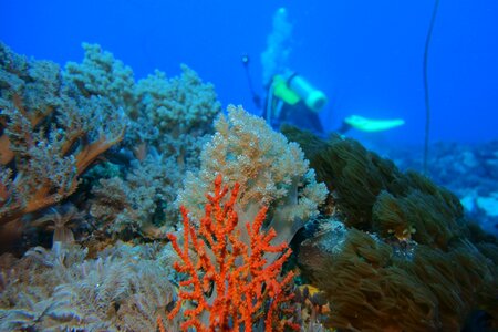 Green island taiwan taitung photo