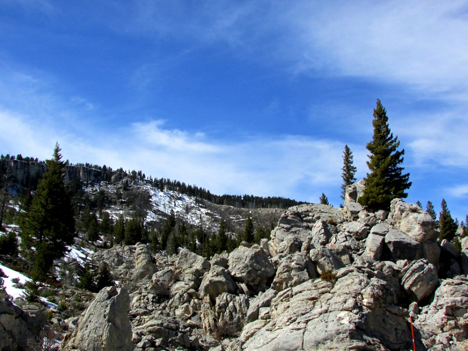 Yellowstone NP in WY