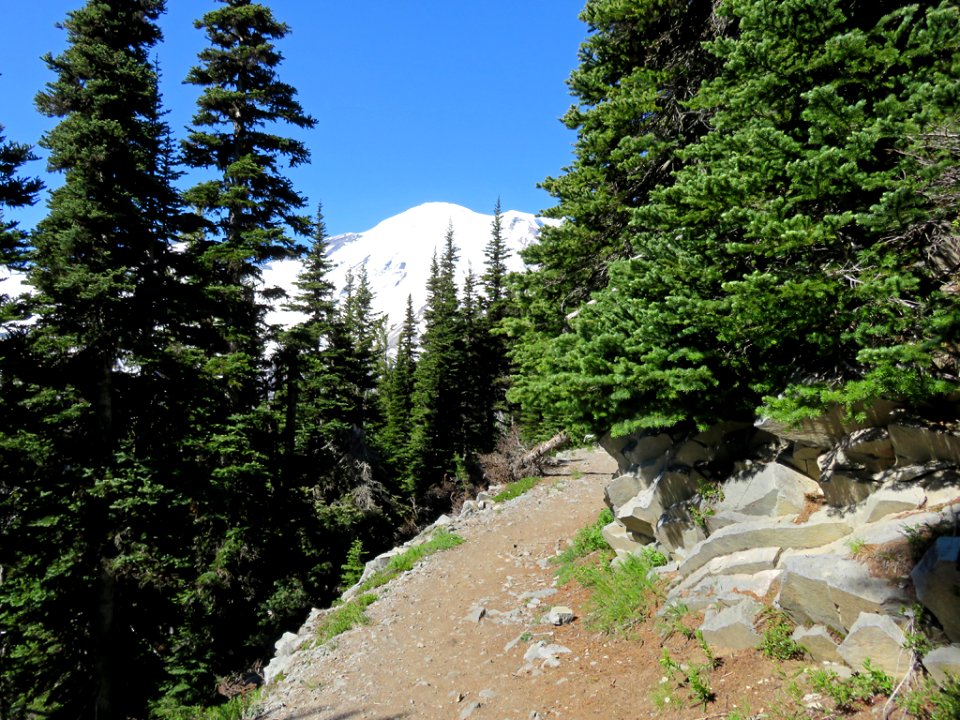 Mt. Rainier NP in Washington