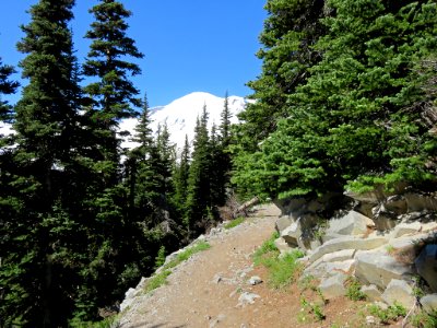 Mt. Rainier NP in Washington photo