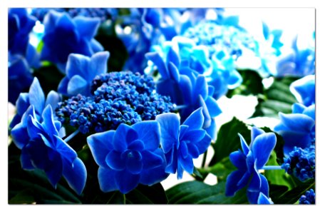 OMP20180511 233 X119 R