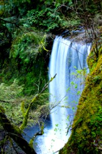 Ecola Falls, Oregon photo