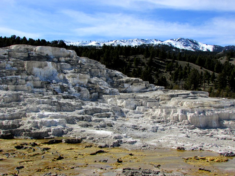 Yellowstone NP in WY