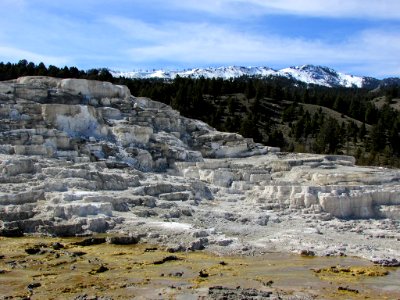 Yellowstone NP in WY photo