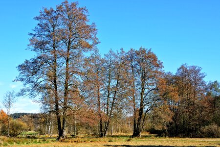 Landscape mood autumn colours