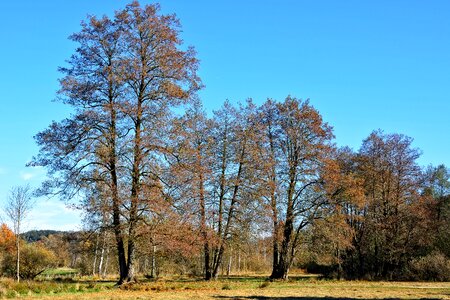 Landscape mood autumn colours photo