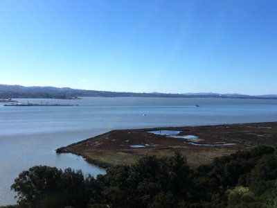 Wetland, south end of Mare Island photo