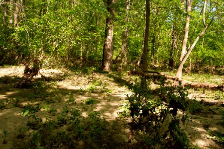 Flood deposits
