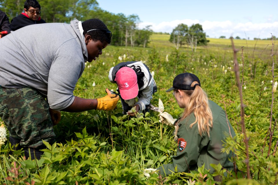 Groundwork RVA's Green Team