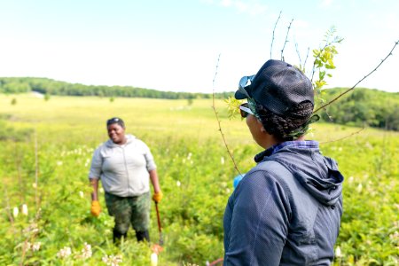 Groundwork RVA's Green Team