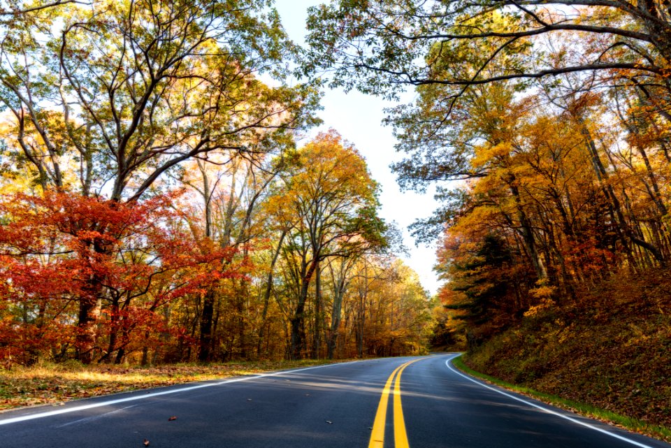 2016 Fall Color: Week of 10/17-10/21