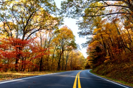 2016 Fall Color: Week of 10/17-10/21
