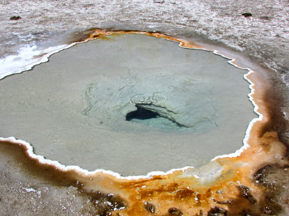 Yellowstone NP in WY