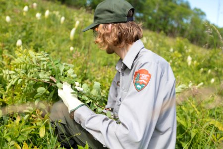 Groundwork RVA's Green Team