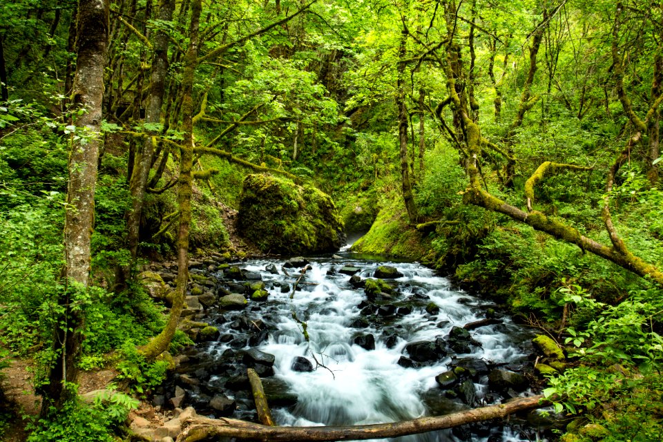 Bridal Veil Falls Hiking Trail, Oregon