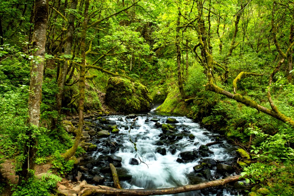 Bridal Veil Falls Hiking Trail, Oregon photo