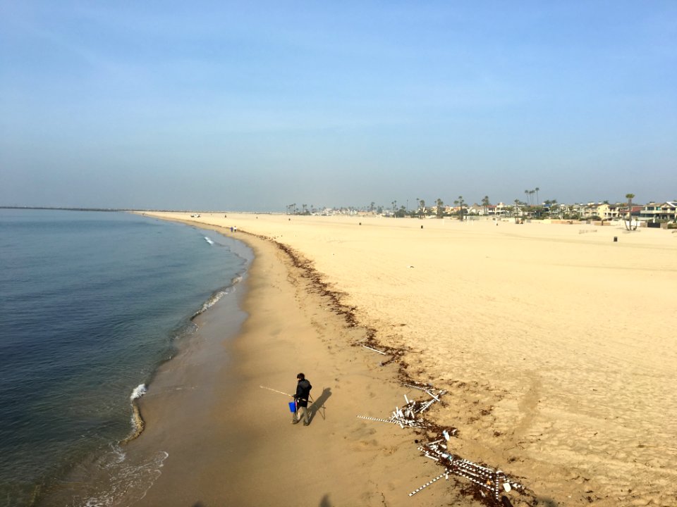 Seal Beach (4)