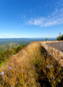Signal Knob Overlook