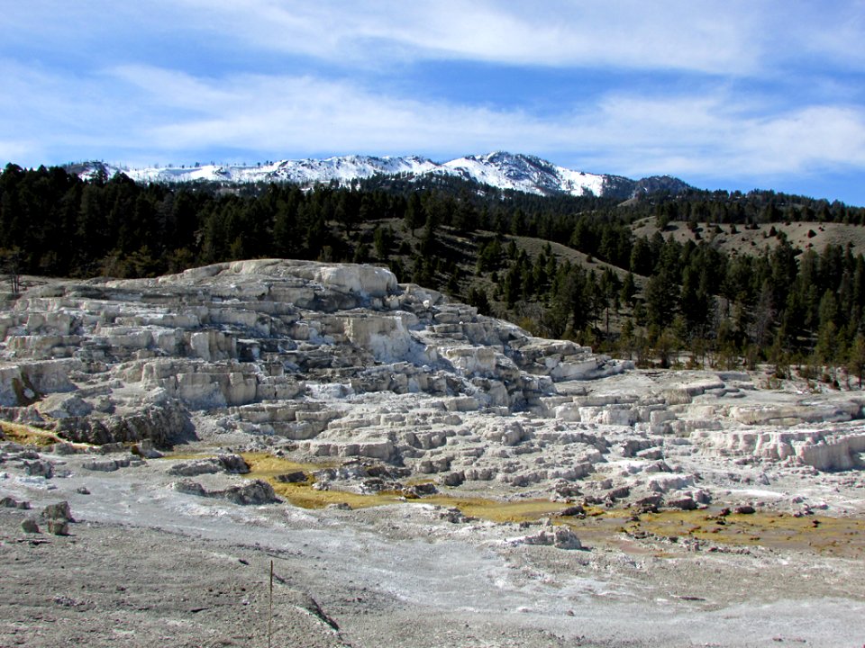 Yellowstone NP in WY