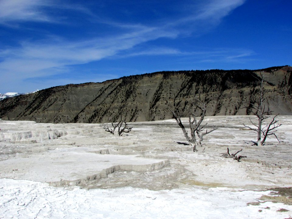 Yellowstone NP in WY