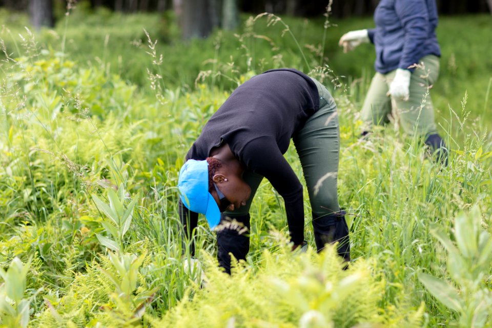 Groundwork RVA's Green Team