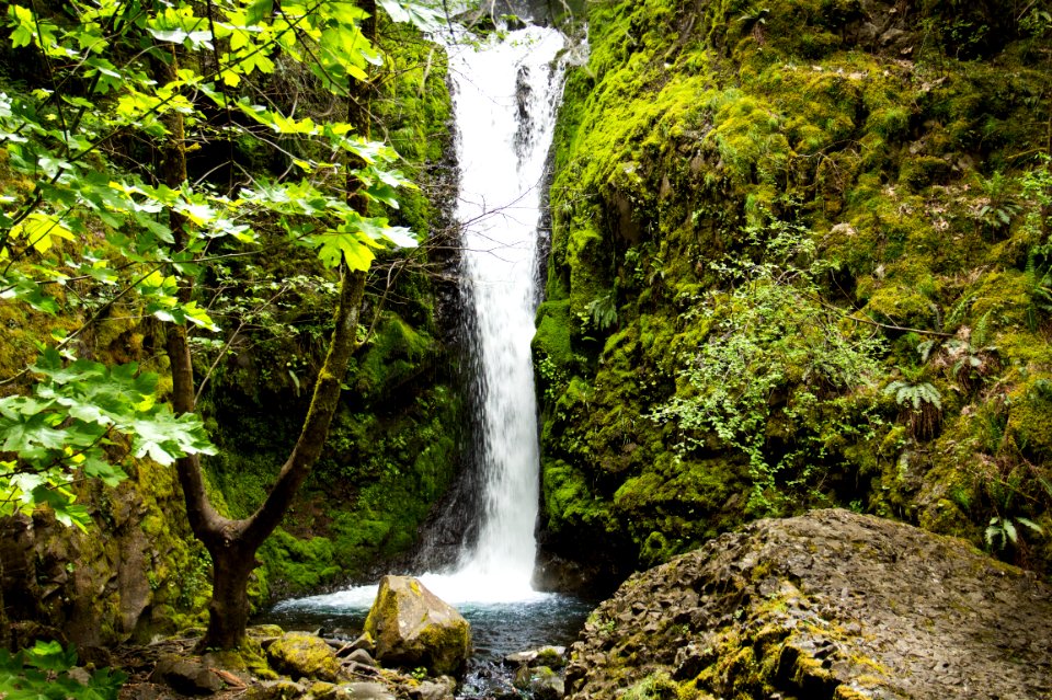 Starvation Ridge Hiking Trail, Oregon