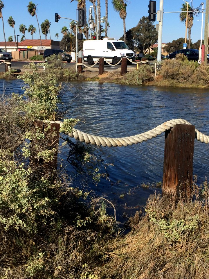 Bolsa Chica King Tides