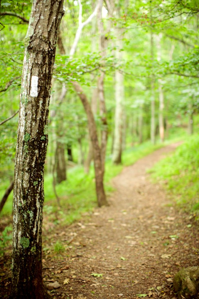 Appalachian Trail