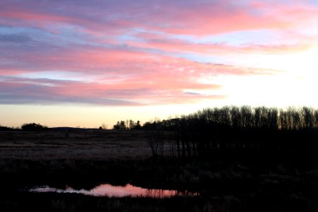 Vernal Pond - Big Meadows