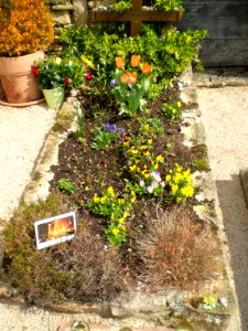 Grave of fr. Roger