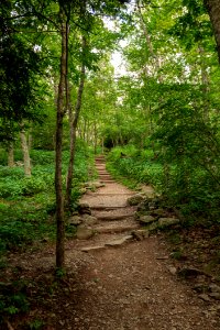Bearfence Trail