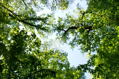 The View From Below