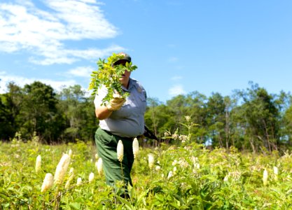 Groundwork RVA's Green Team
