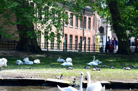 Bruges 2014
