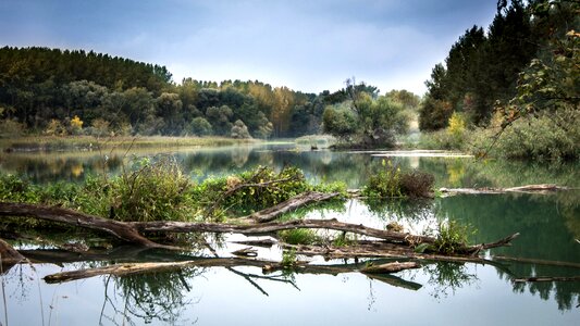 Slovakia trees water photo