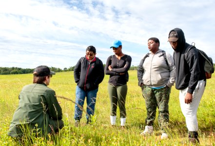 Groundwork RVA's Green Team