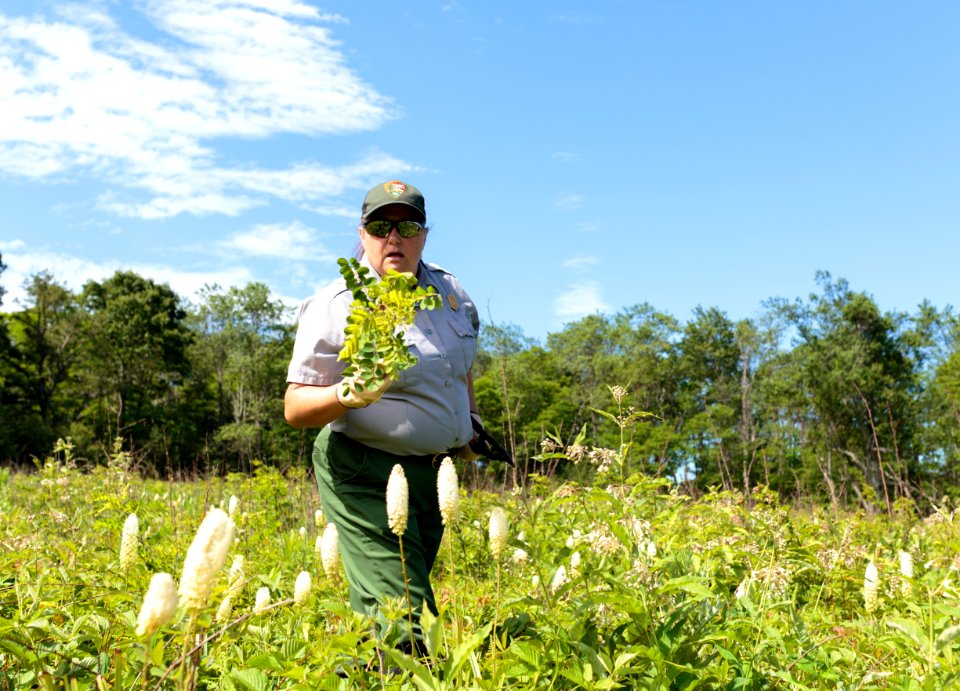 Groundwork RVA's Green Team