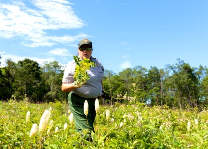Groundwork RVA's Green Team