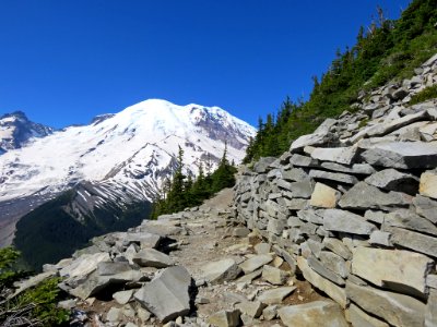 Mt. Rainier NP in Washington photo