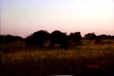 FOUND: Africa