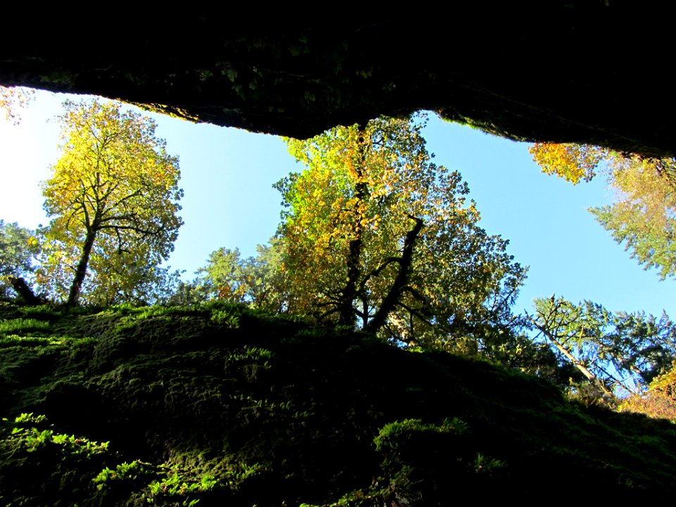 Oneonta Gorge at Columbia River Gorge in OR