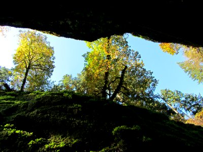 Oneonta Gorge at Columbia River Gorge in OR