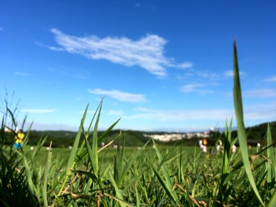 新竹的青青草原