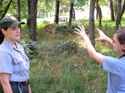 Talking about the nearby deer with Ranger Georgette