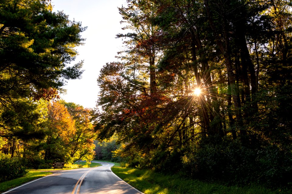 Early Fall Colors at Elkwallow